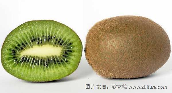 獼猴桃的種子可以種嗎