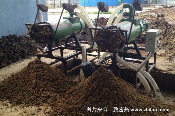 豬糞養蚯蚓的方法