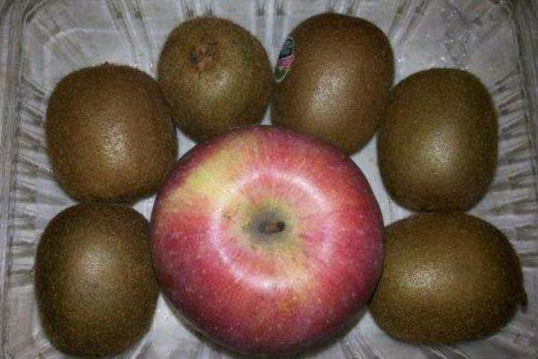 獼猴桃可以放冰箱冷藏嗎