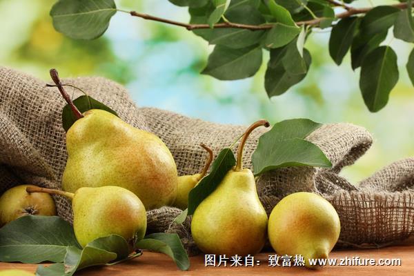 梨和煮梨哪個功效好