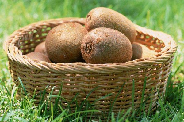 哪些人不宜吃獼猴桃