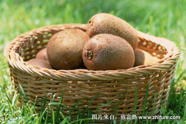 獼猴桃為什么叫獼猴桃