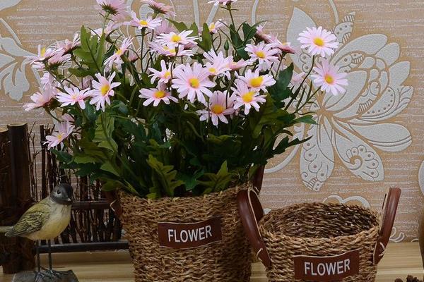 十一種加工項(xiàng)目 不愁銷路