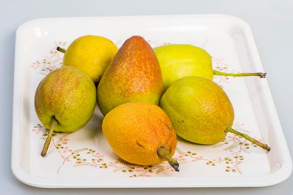 香梨價格多少錢一斤