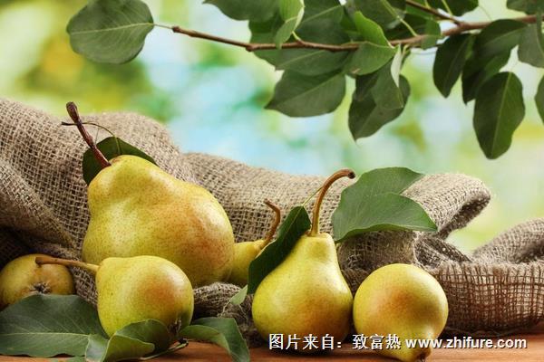 吃梨會發(fā)胖嗎