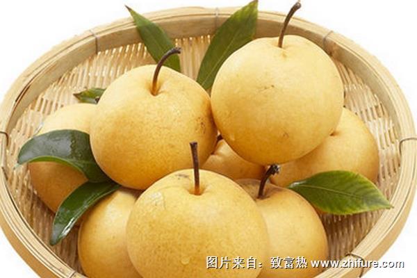 孕婦可以吃梨嗎