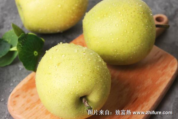 碭山梨和貢梨的區(qū)別是什么