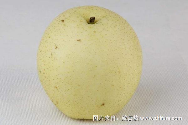 貢梨和酥梨的區別是什么