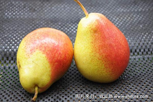 香蕉梨圖片大全