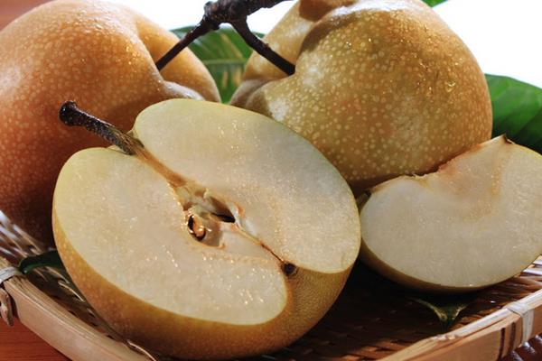 風水梨產地是在哪里