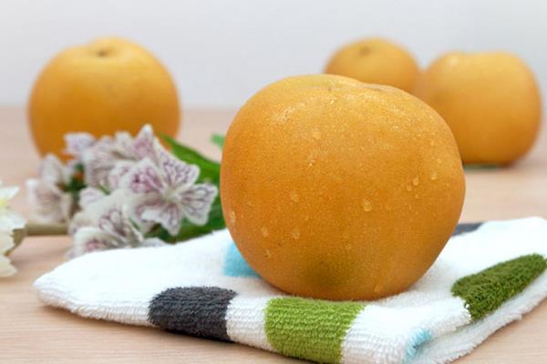 風水梨產地是在哪里