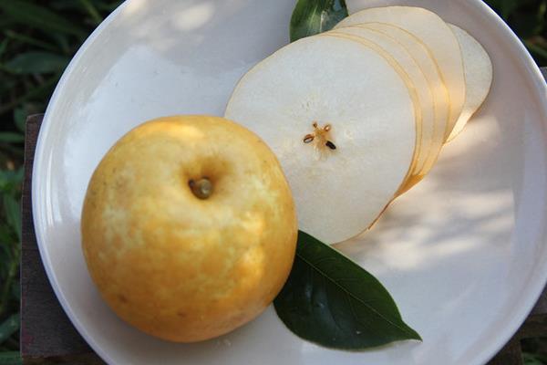 風水梨產地是在哪里