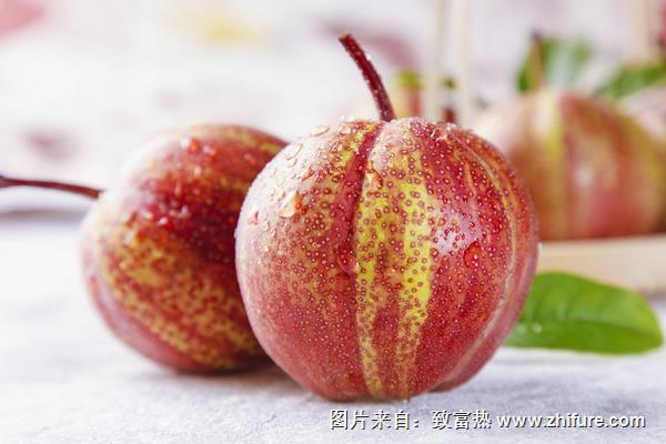 早酥紅梨幾月成熟