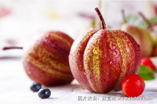 早酥紅梨口感怎么樣