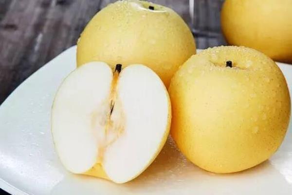 貢梨的功效與作用及禁忌