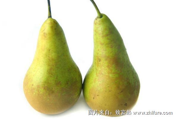 貴妃梨為什么那么硬