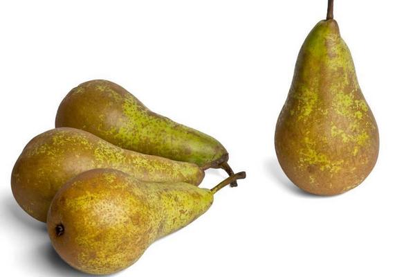 貴妃梨為什么那么硬