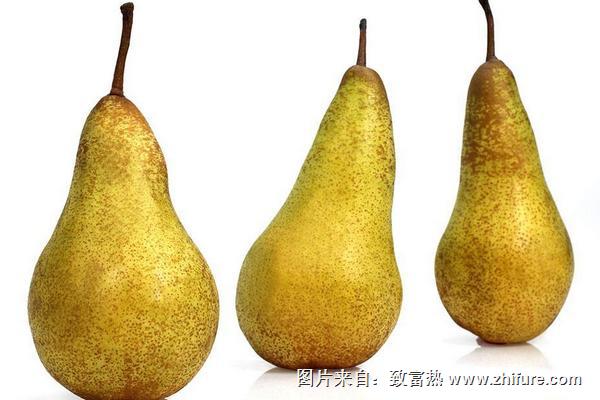 貴妃梨怎么挑