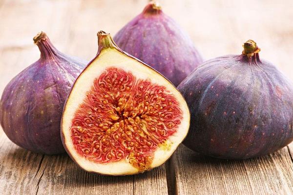 桑天牛對無花果的危害及要怎么防治