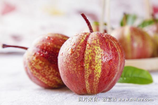 早酥紅梨圖片大全