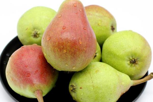 茄梨的功效與作用及禁忌