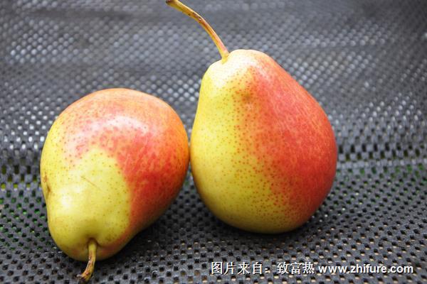 茄梨的功效與作用及禁忌