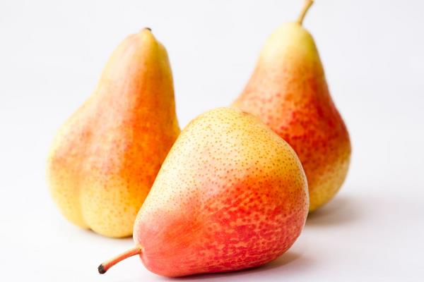 茄梨的功效與作用及禁忌