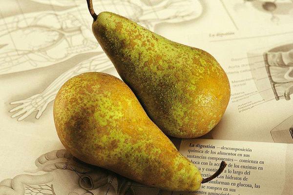 貴妃梨怎么快速放軟