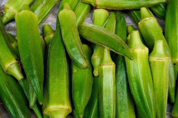 夏天可以種黃秋葵嗎