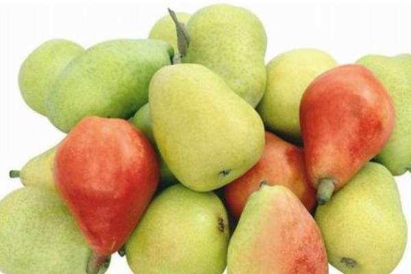 巴梨價格多少錢一斤