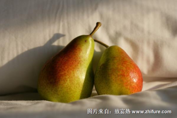 巴梨價格多少錢一斤