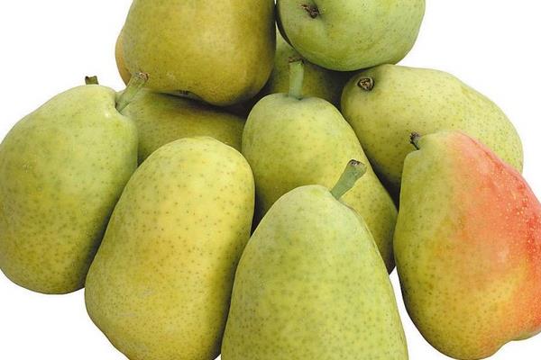 巴梨價格多少錢一斤