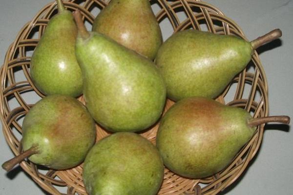 巴梨價格多少錢一斤