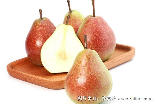 大頭梨功效與作用及禁忌