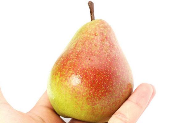 大頭梨功效與作用及禁忌