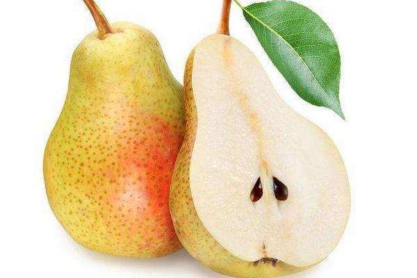 大頭梨圖片大全