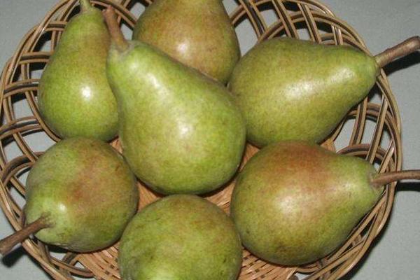 大頭梨圖片大全