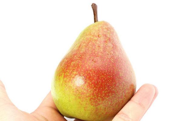 大頭梨為什么是軟的