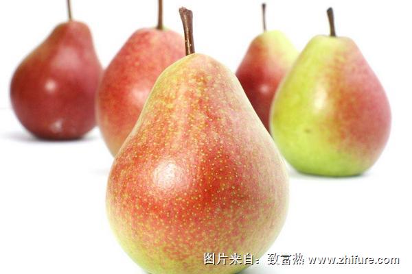 大頭梨孕婦能吃嗎