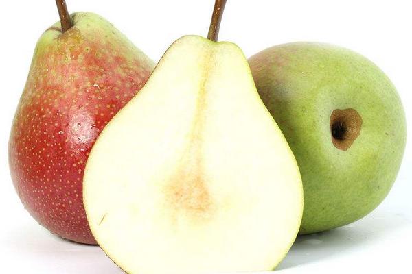 大頭梨功效與作用及禁忌