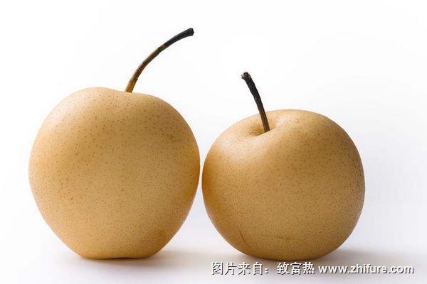 蜜梨圖片大全