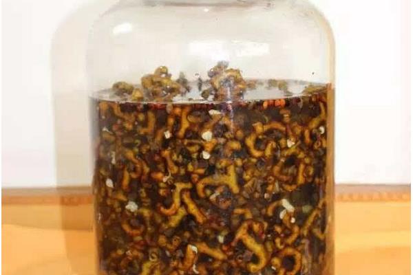 金鉤梨價格多少錢一斤