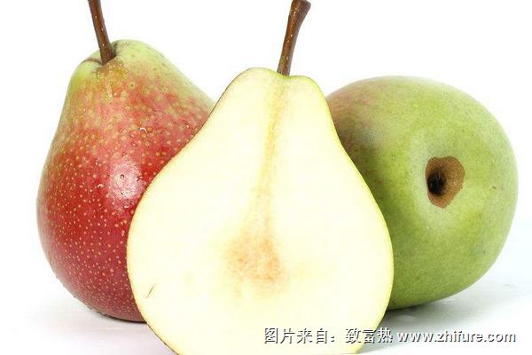 大頭梨圖片大全