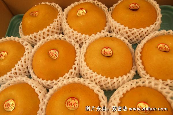 南水梨和豐水梨的區(qū)別是什么