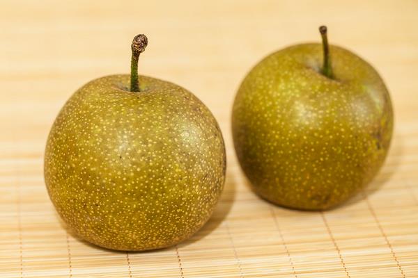 砂梨功效與作用及禁忌