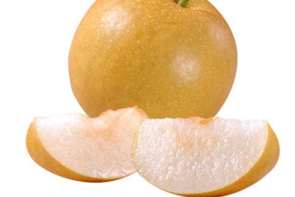 砂梨功效與作用及禁忌