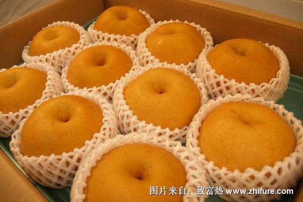 南水梨價格多少錢一斤