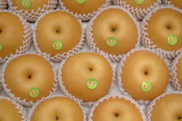 南水梨價格多少錢一斤