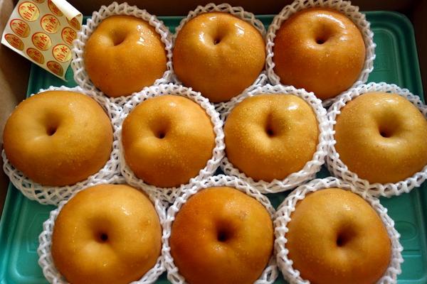 南水梨價格多少錢一斤