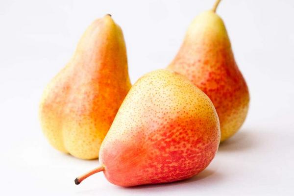 大頭梨圖片大全